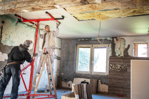 Eco-Friendly or Green Insulation Solutions in Mendenhall, MS