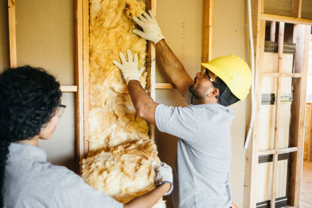 Professional Foam Insulation Services in Mendenhall, MS